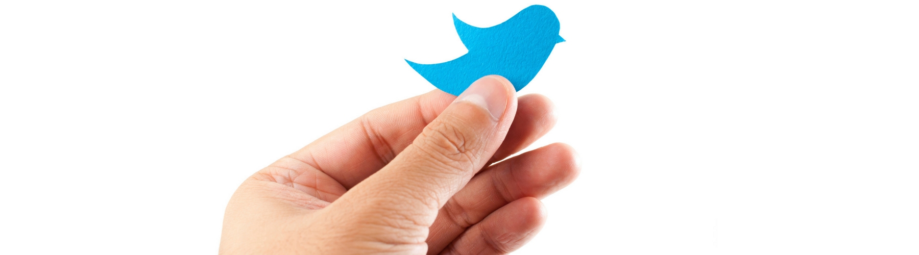 twitter followers
